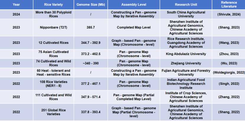 Summary of research in rice genome