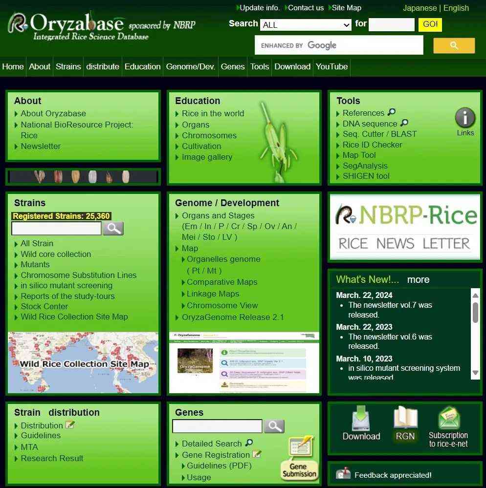 Rice genome variation and functional annotations comprehensive database (RiceVarMap v2.0)
