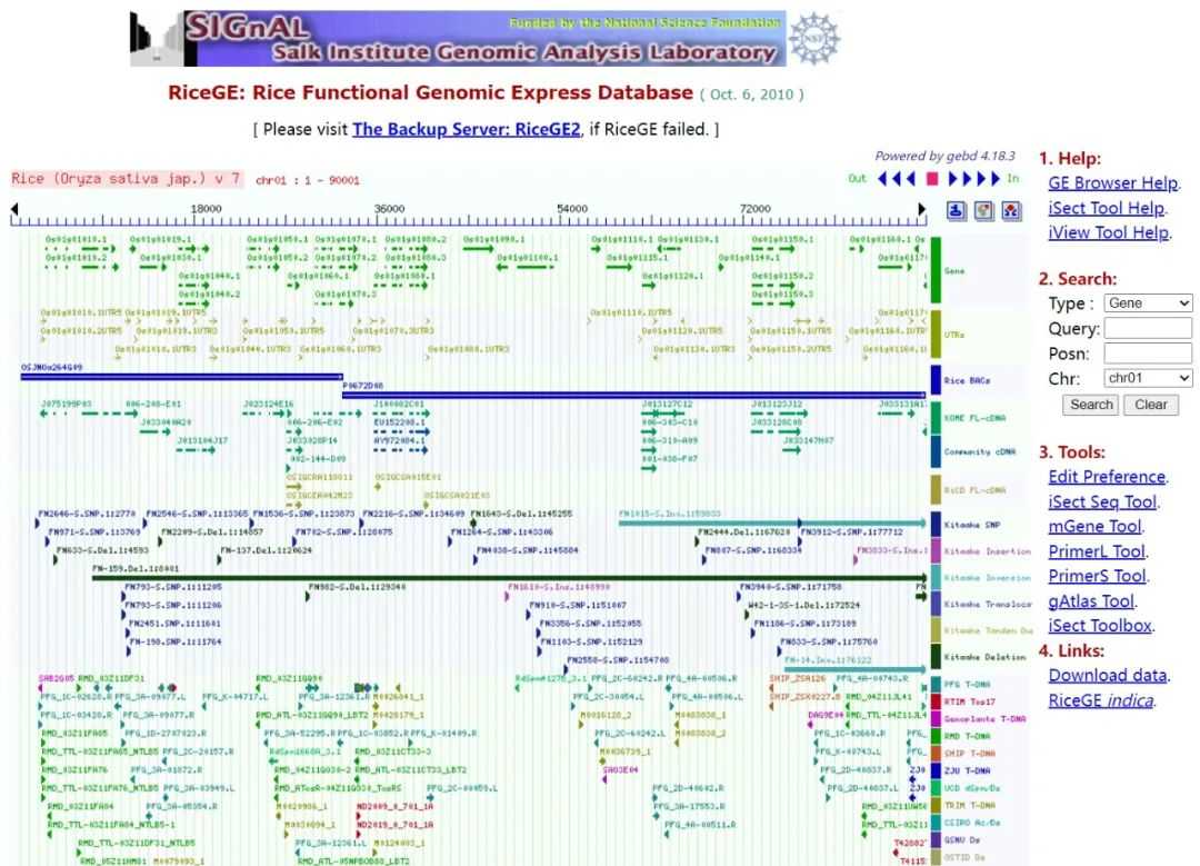 Rice functional genome expression database (RiceGE)