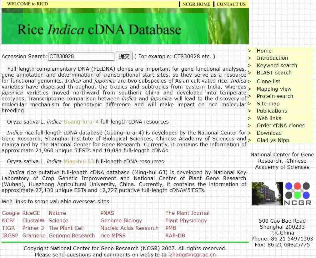 Rice indica cDNA database