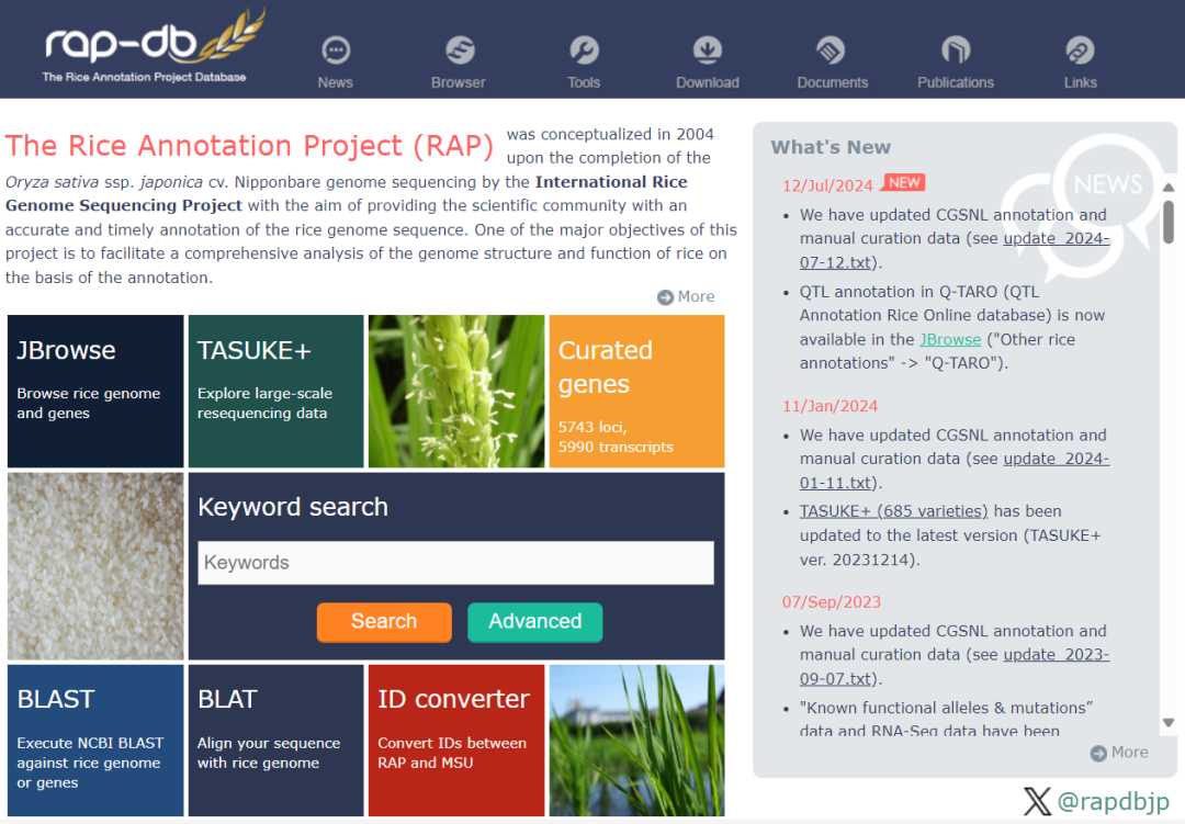 Rice annotation project database (RAP-DB)