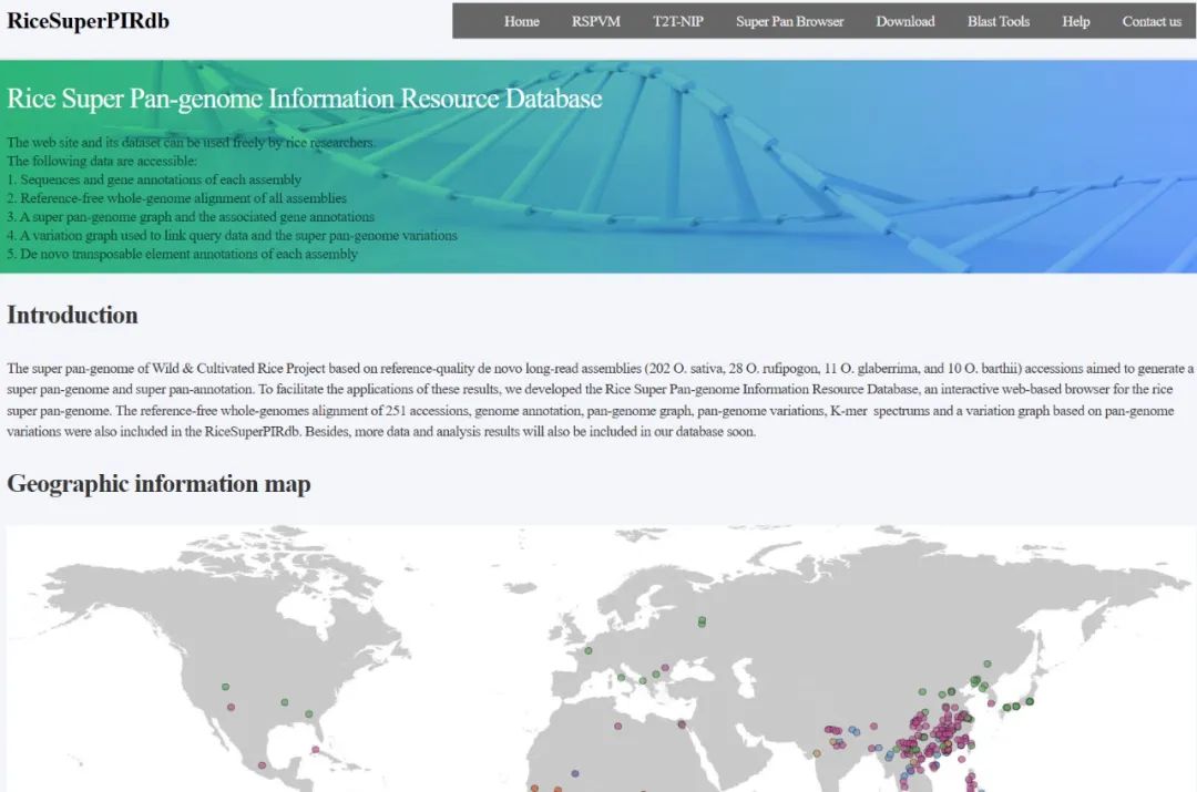Rice Super-pan-genome information resource database (RiceSuperPIRdb)