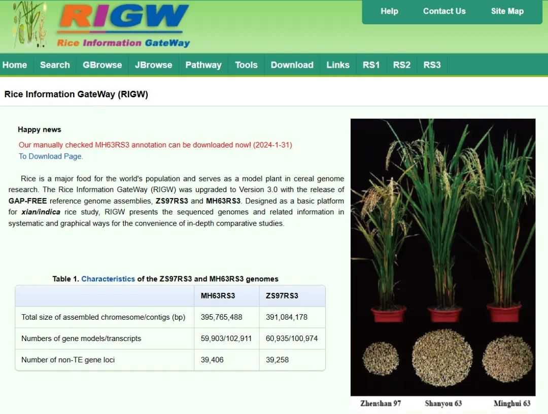Rice Information Gateway (RIGW)