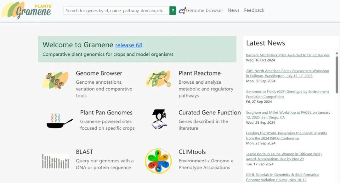Rice pan-genome database (RPAN)