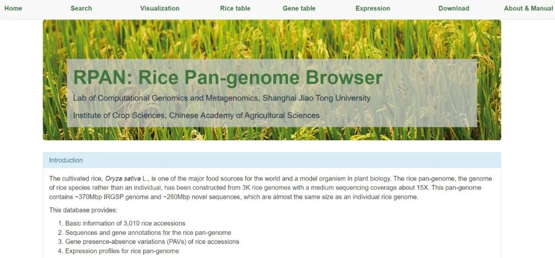 A database for rice molecular breeding referred to MBKbase