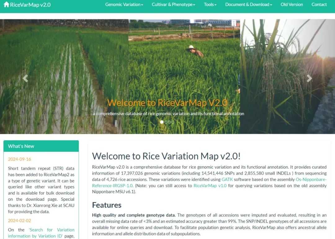 Comprehensive rice science database Oryzabase