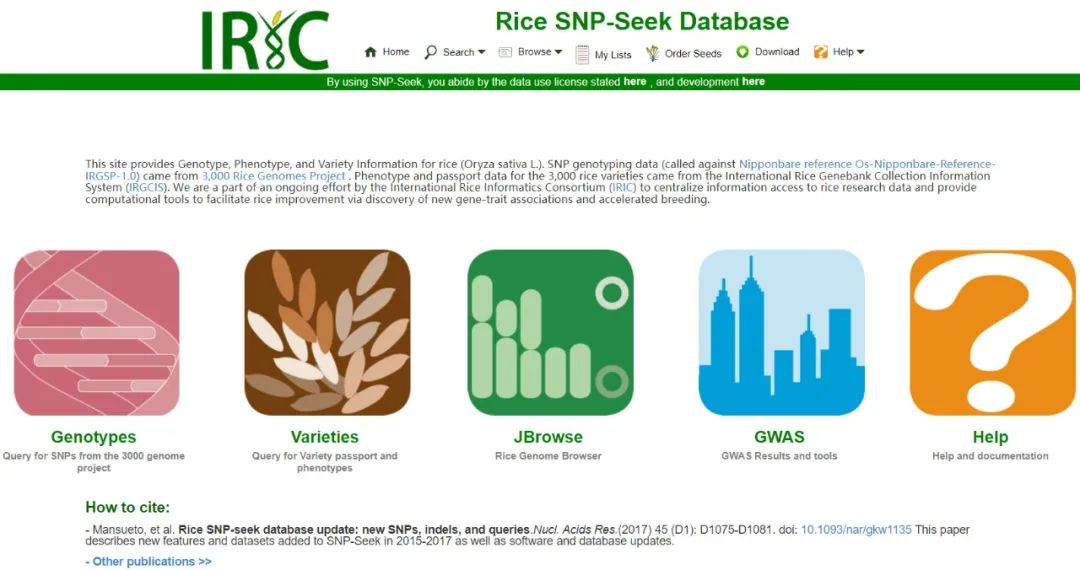 Rice gene index database (RGI)