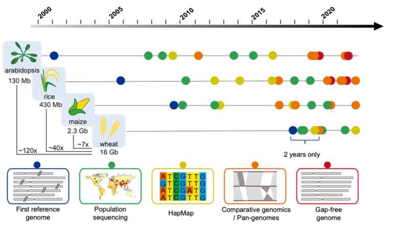 Research advance in genomics research of main plants