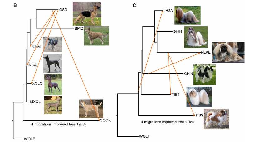 Sequencing methods invented by Sanger