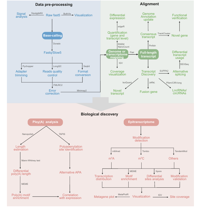 Sequencing methods invented by Sanger