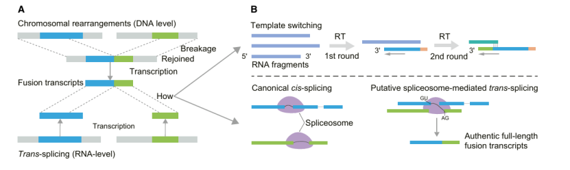 Sequencing methods invented by Sanger