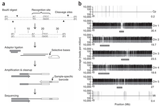 Protocol and workflow for 2b-RAD library preparation and high-throughput sequencing (Wang et al., 2023)​