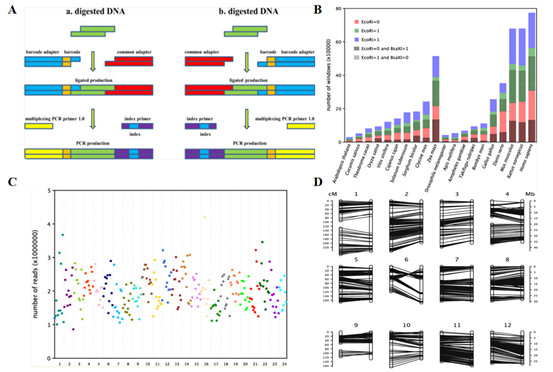 Genotyping utility of 2b-RAD in rice (Oryza sativa L.) genetic mapping (Guo et al., 2014)​​