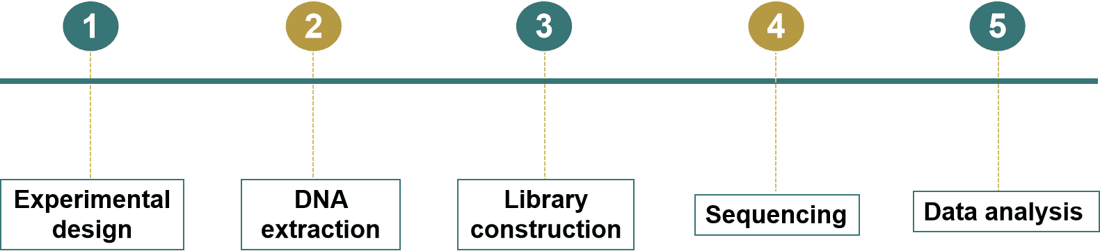 Fig. 2. Our service process - CD Genomics