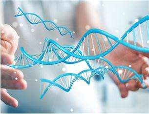 Animal and plant whole genome sequencing