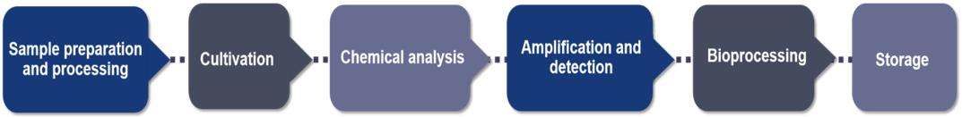 Fig. 2. Our service process - CD Genomics