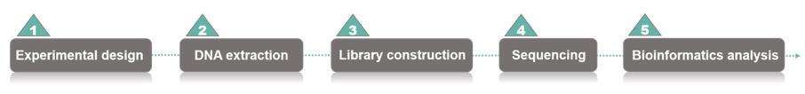 Fig. 2. Workflow based on our sequencing technology - CD Genomics