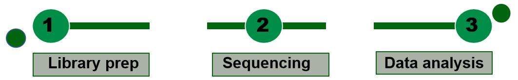 ChIP-Seq workflow-CD Genomics