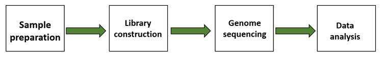 Chloroplast DNA sequencing process-CD Genomics