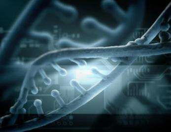 DNA microarray services