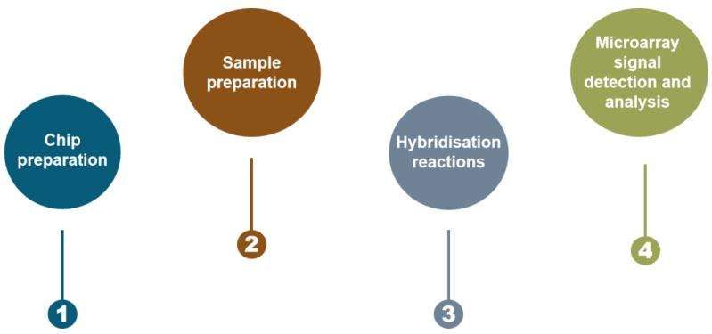 DNA microarray workflow - CD Genomics