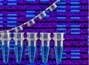 DNA typing services