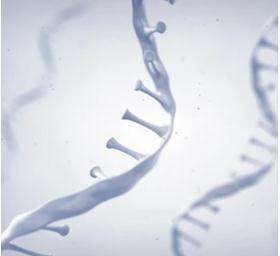 Epigenetic sequencing