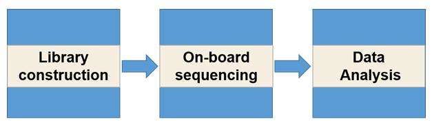 Epigenetic sequencing workflow- CD Genomics