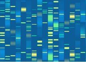 Genetic Linkage Map