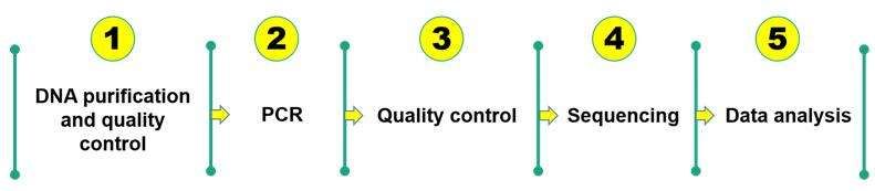 GBS workflow - CD Genomics