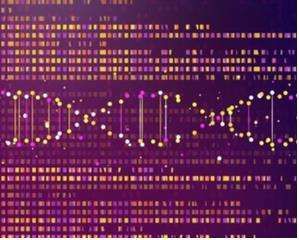 Ligase detection reaction (LDR)