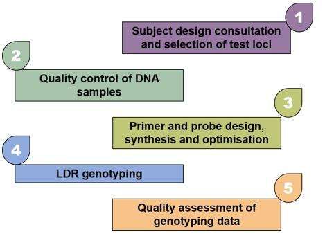 LDR service workflow - CD Genomics