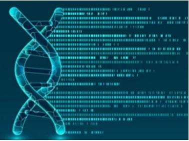 Microarray services