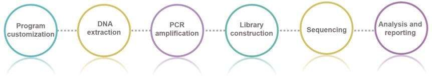 Fig. 2. Microbial sequencing service workflow - CD Genomics