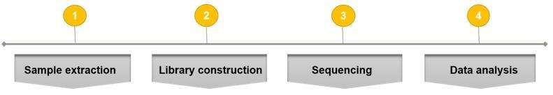 Fig. 2. Our workflow - CD Genomics