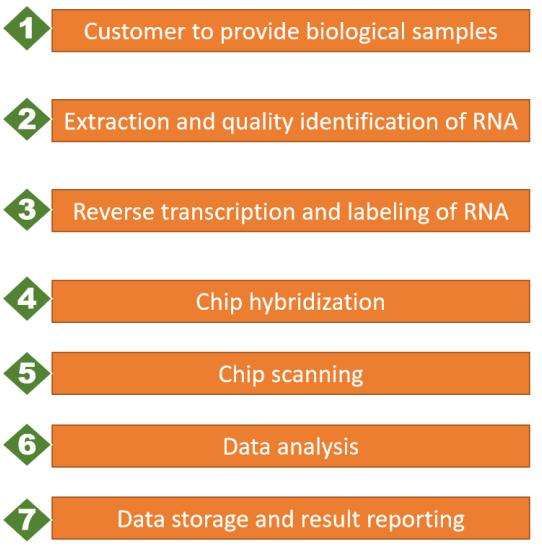 Oligonucleotide microarray services workflow - CD Genomics