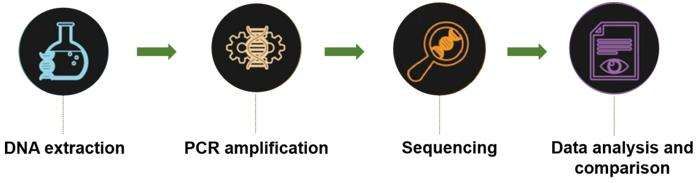 Fig. 2. Our service workflow - CD Genomics