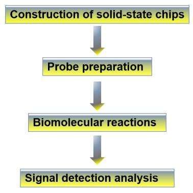 Protein microarray workflow - CD Genomics