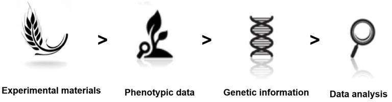 Fig.2. QTL service process. - CD Genomics 