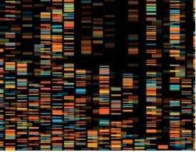 Reduced-Representation genome sequencing (RRGS)