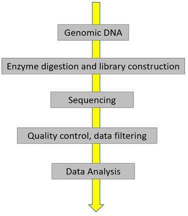 RRGS workflow - CD Genomics