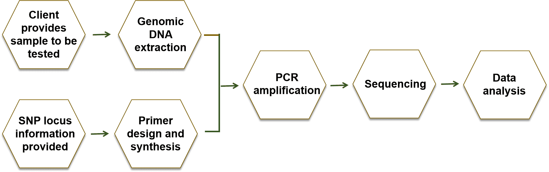 SNP detection workflow - CD Genomics