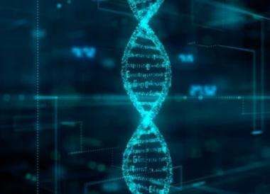 SNP microarray workflow services