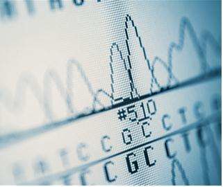 Sanger sequencing services