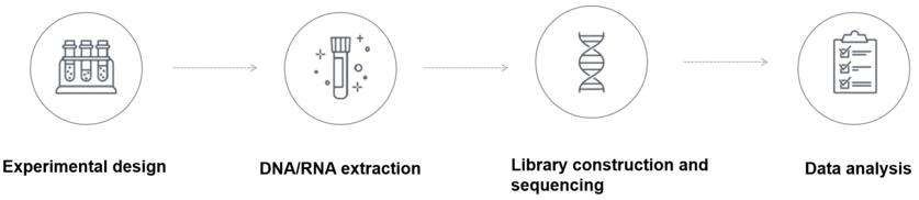 Fig. 2. Sequencing service process - CD Genomics