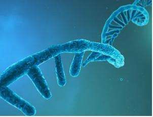 Small RNA sequencing