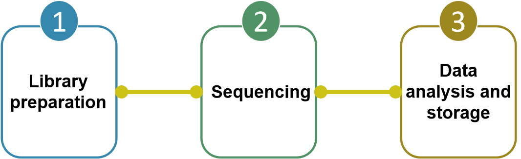 Small RNA sequencing workflow- CD Genomics