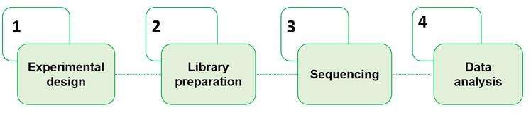 Targeted sequencing workflow-CD Genomics