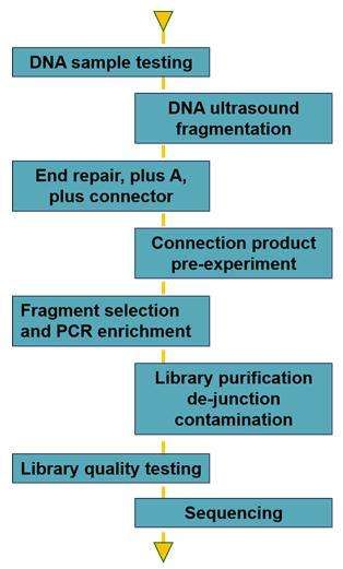 Whole genome resequencing workflow-CD Genomics