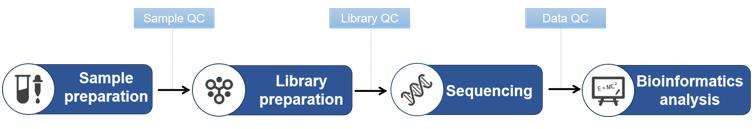 Fig. 2. Our service process - CD Genomics